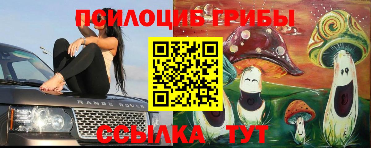Галлюциногенные грибы прущие грибы  где найти наркотики  Вход с VPN  Ханты-Мансийск  Псилоцибиновые грибы Psilocybine cubensis 